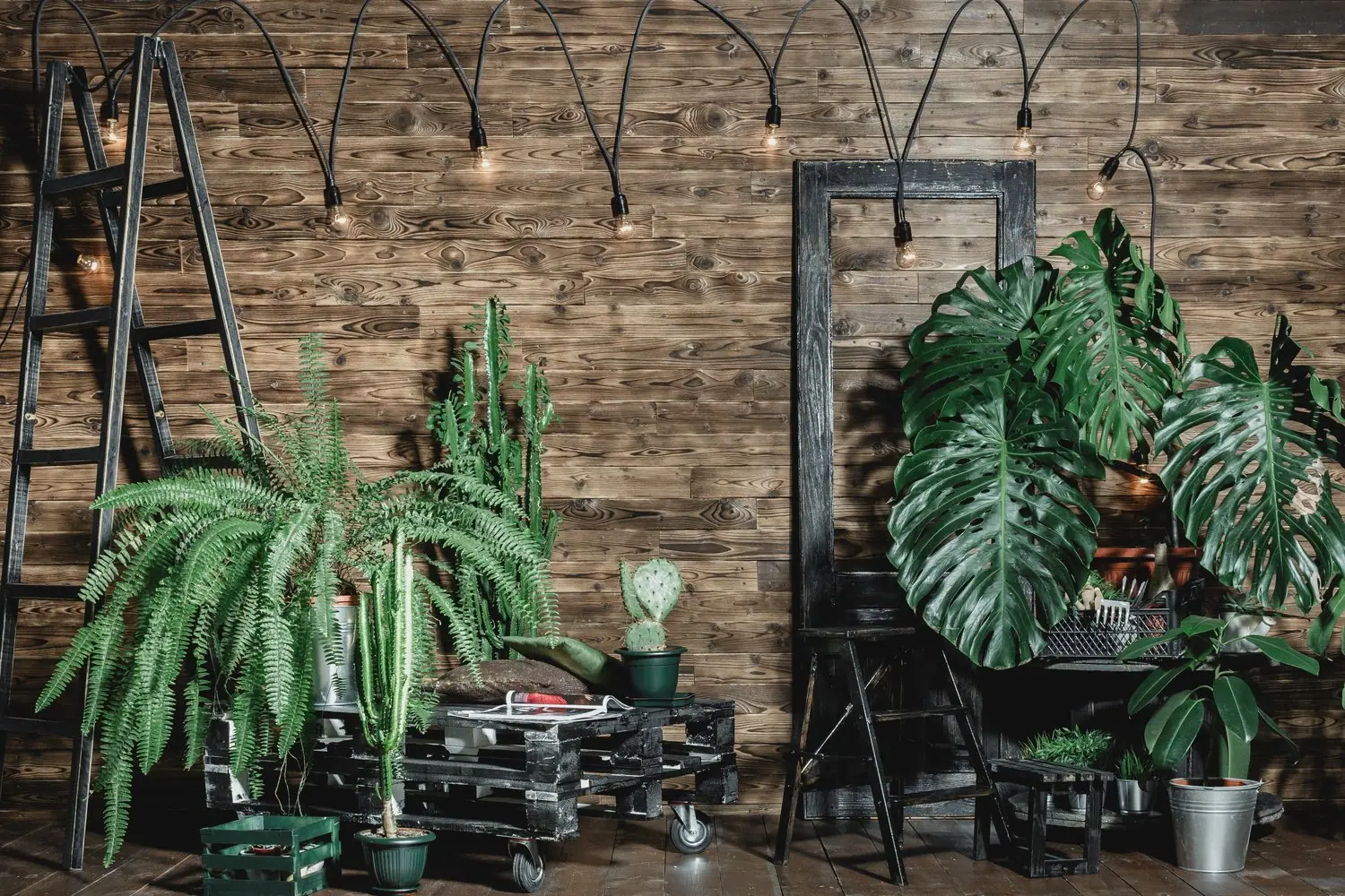 Dlaczego warto postawić na aranżację w stylu urban jungle