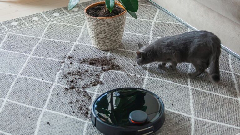 Czarny nowoczesny robot sprzątający dywan z kotem